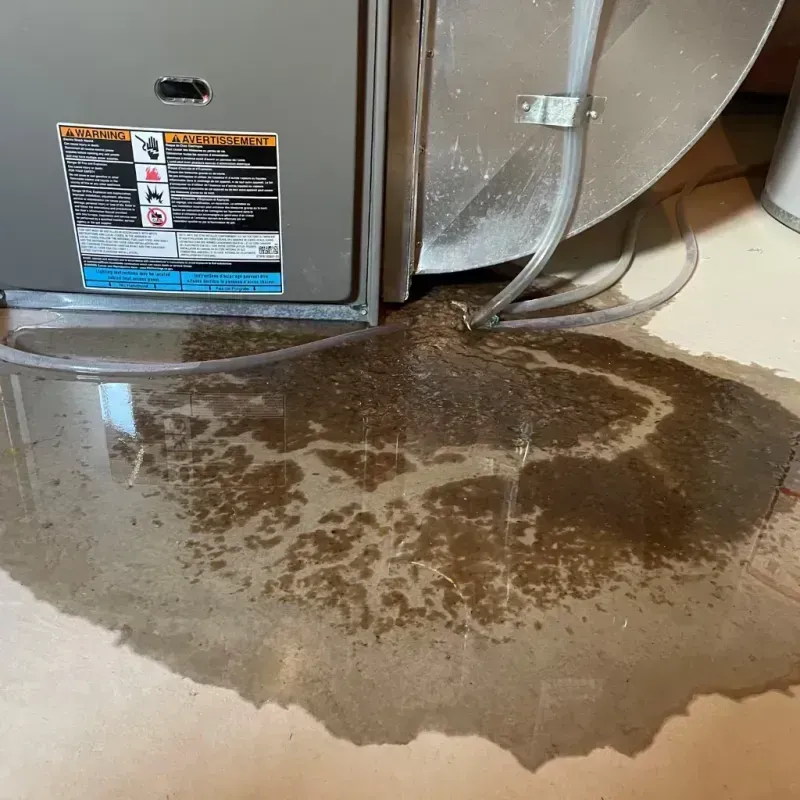 Appliance Leak Cleanup in University Heights, IA